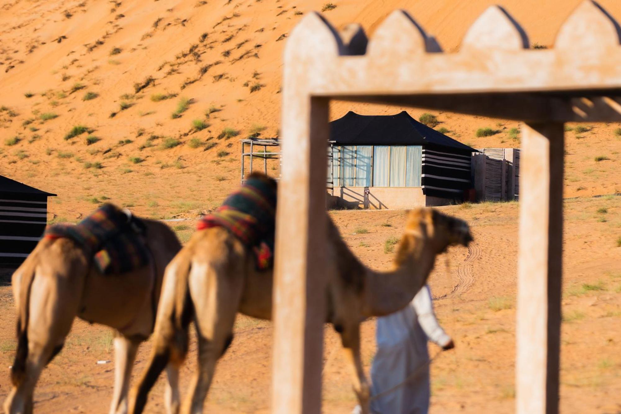 Thousand Nights Camp Shāhiq Rum bild